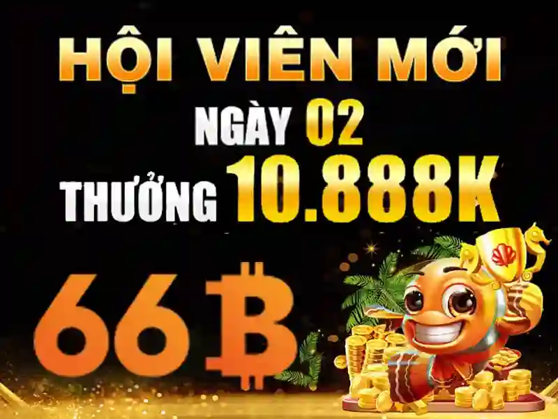 Cờ vua 66b – Hành trình trải nghiệm chân thực và đánh giá chuyên sâu