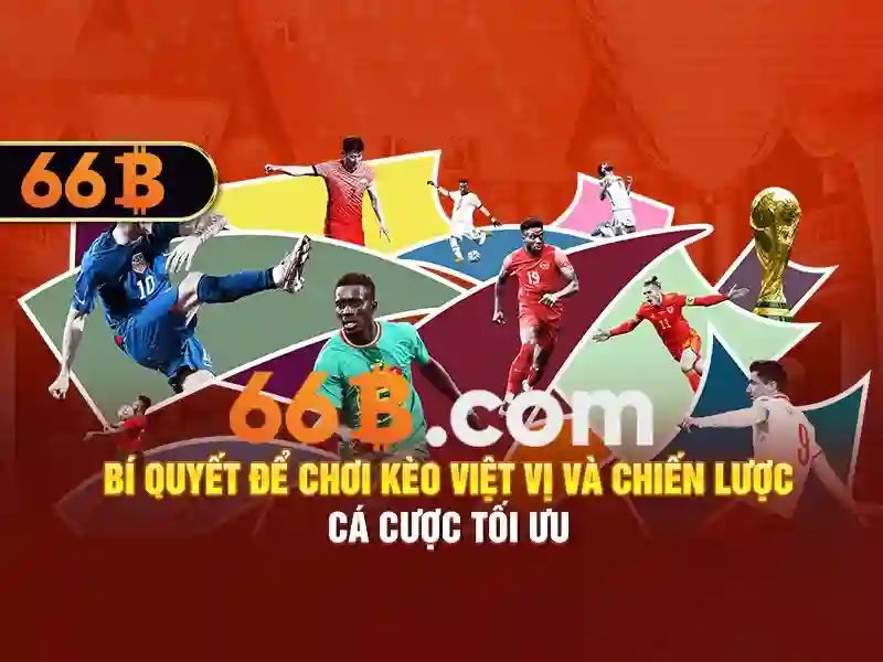 66b app – Nền tảng đổi mới cho trải nghiệm số tối ưu