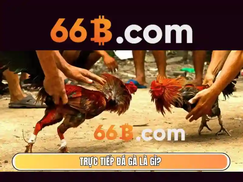 66B: Khai thác sức mạnh của mô hình ngôn ngữ quy mô lớn