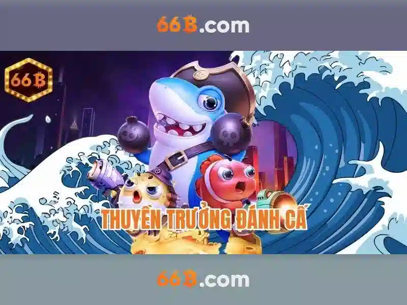 66b: một cái nhìn tổng quan