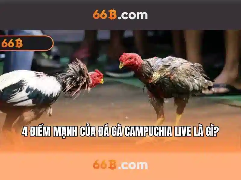 66B: Khái niệm, tiềm năng và ứng dụng