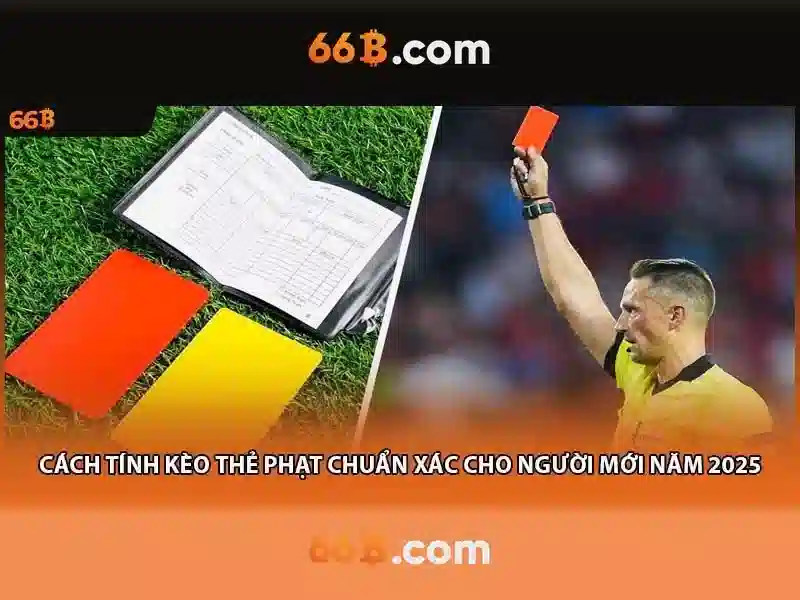 66B: Mô hình ngôn ngữ 66 tỷ tham số và những ảnh hưởng