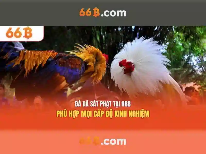 https://webprofitsconsulting.co.uk/images/text/66b/66b-text260330210.webp
