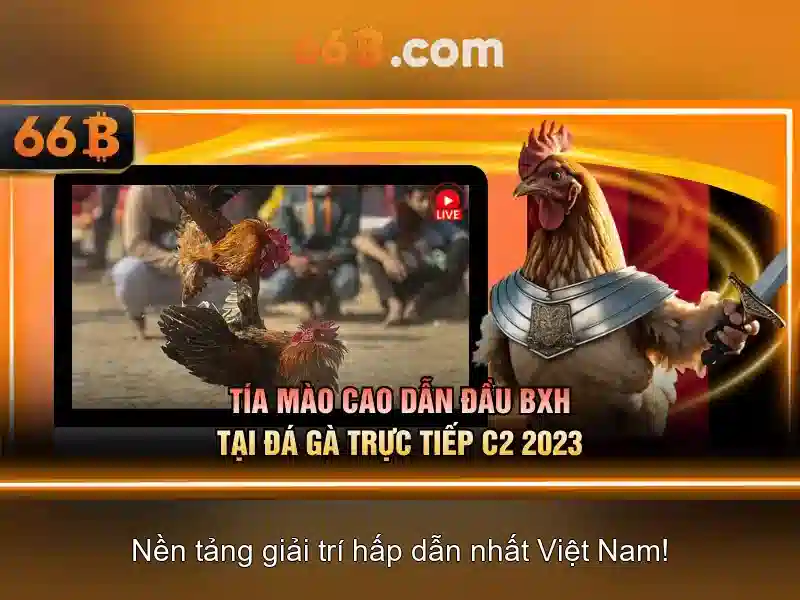 66B: Mô hình ngôn ngữ quy mô lớn 66 tỷ tham số