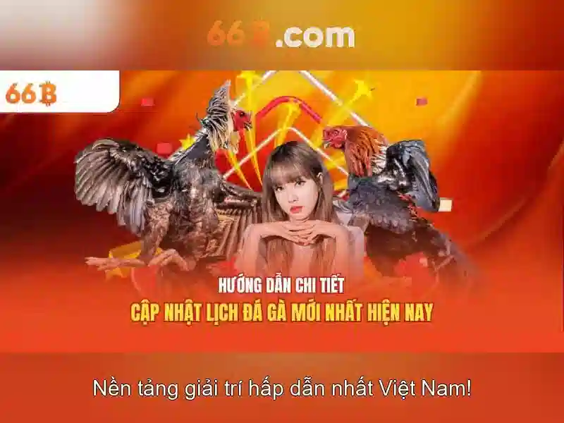 66b nguyễn sĩ sách p15, q tân bình – Sứ mệnh và trải nghiệm