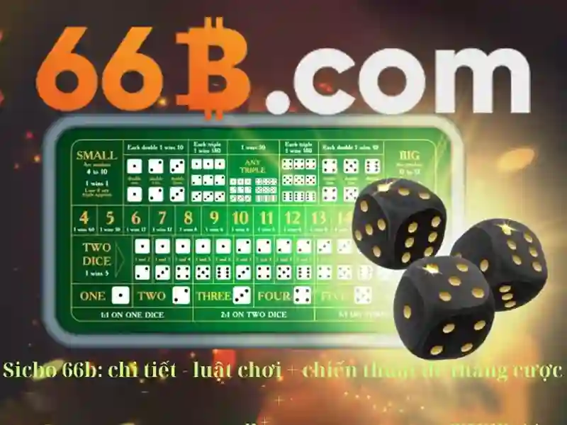 Khám phá mô hình 66b: một cái nhìn tổng quan