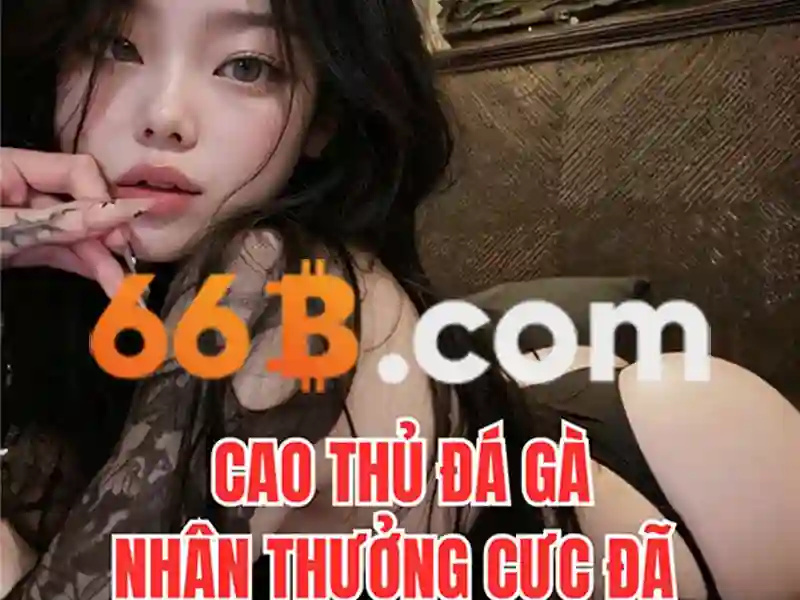 giao dịch 66b: hành trình thương hiệu và giá trị